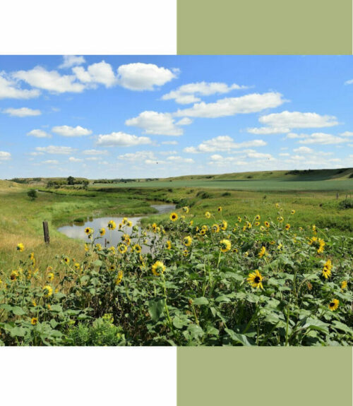 North Dakota Landscape